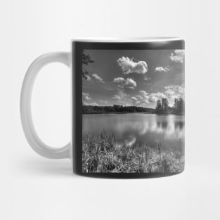 Komosa Lake in Knyszynska Woods Mug